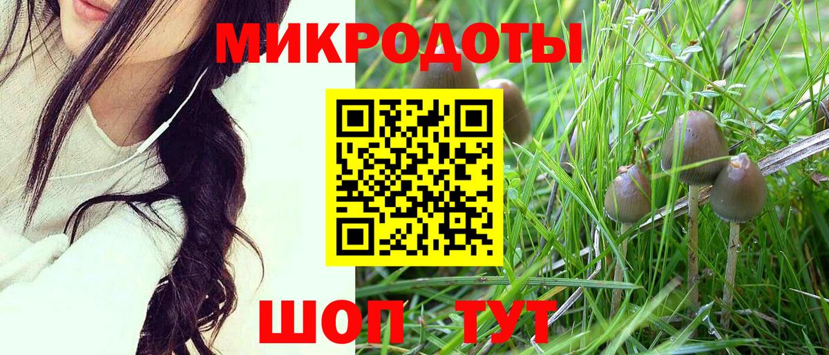 Псилоцибиновые грибы Psilocybe Луховицы