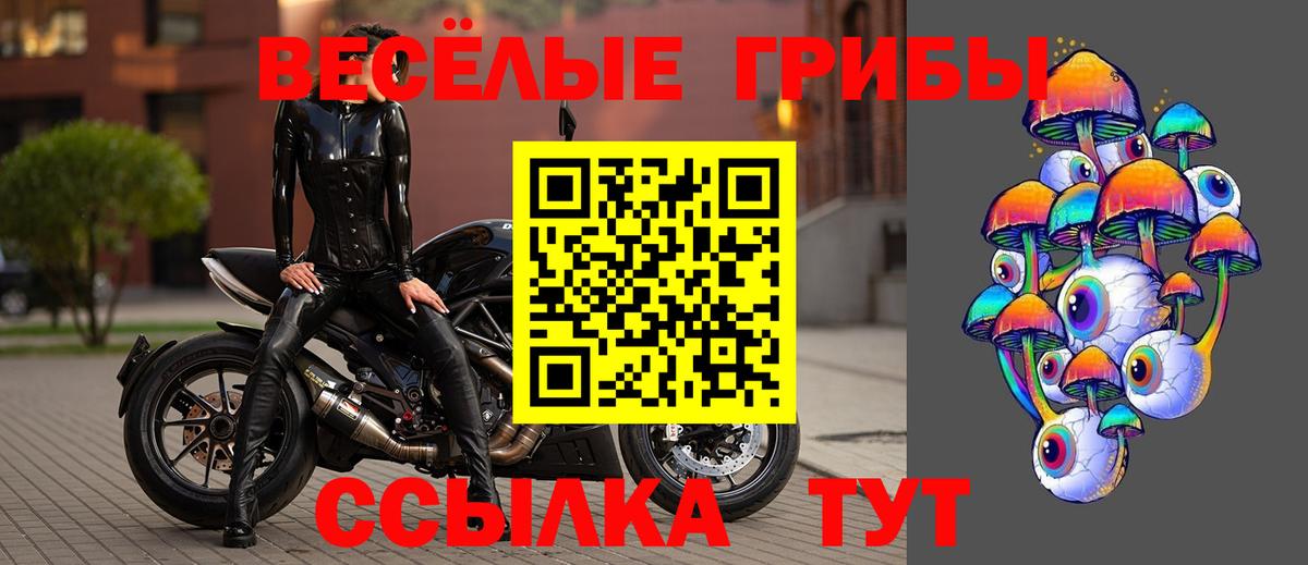 Луховицы  Псилоцибиновые грибы мицелий  Вход с VPN  Галлюциногенные грибы ЛСД 